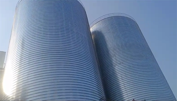 峨山2座混凝土高架卷板仓